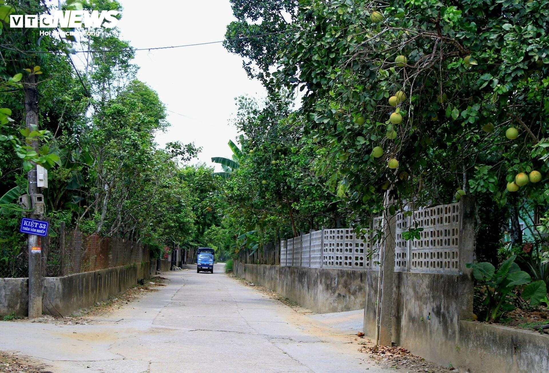 buoi thanh tra anh 1