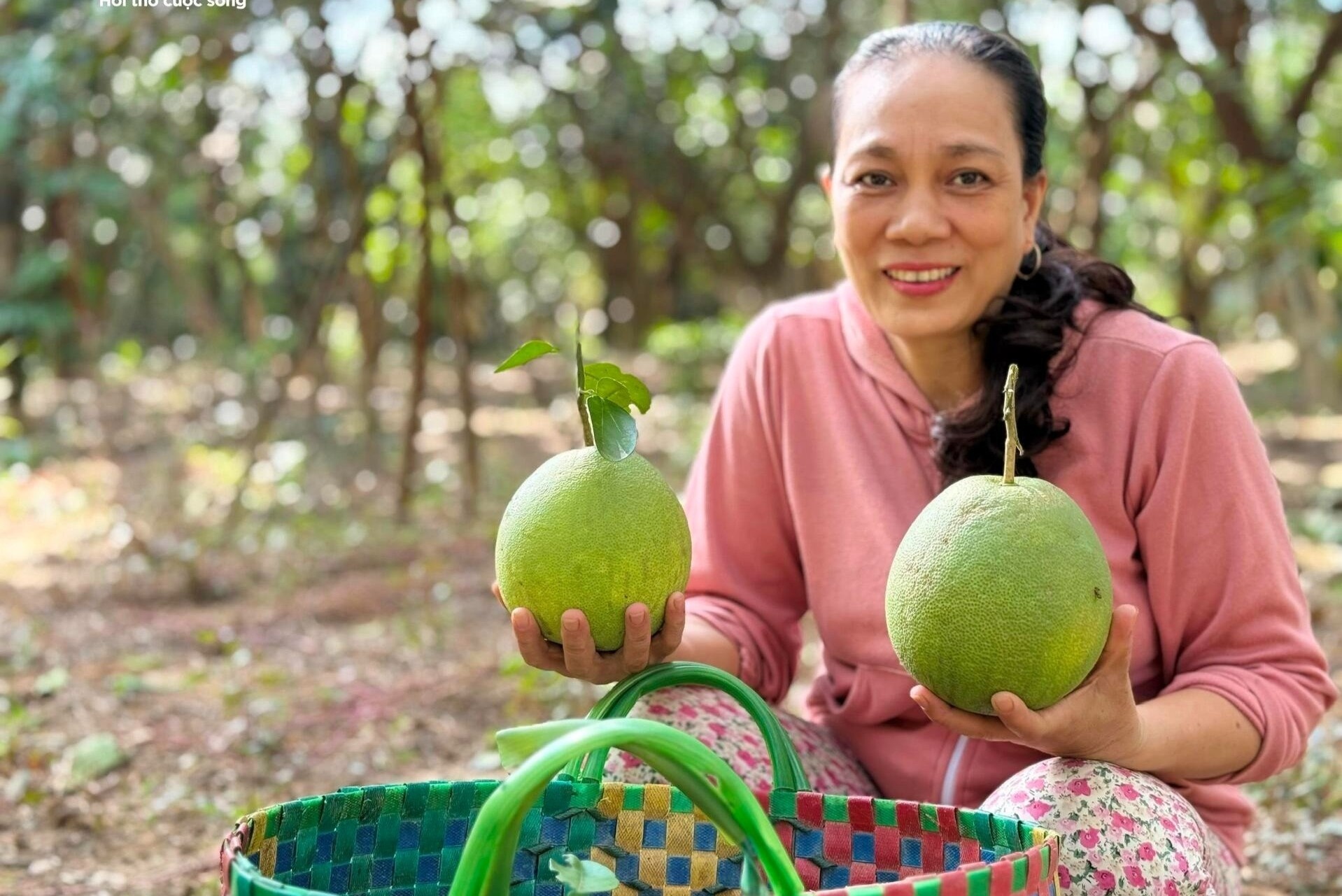 Dac san ‘tien vua’ duoc mua duoc gia, dan dem cay thu tien trieu hinh anh