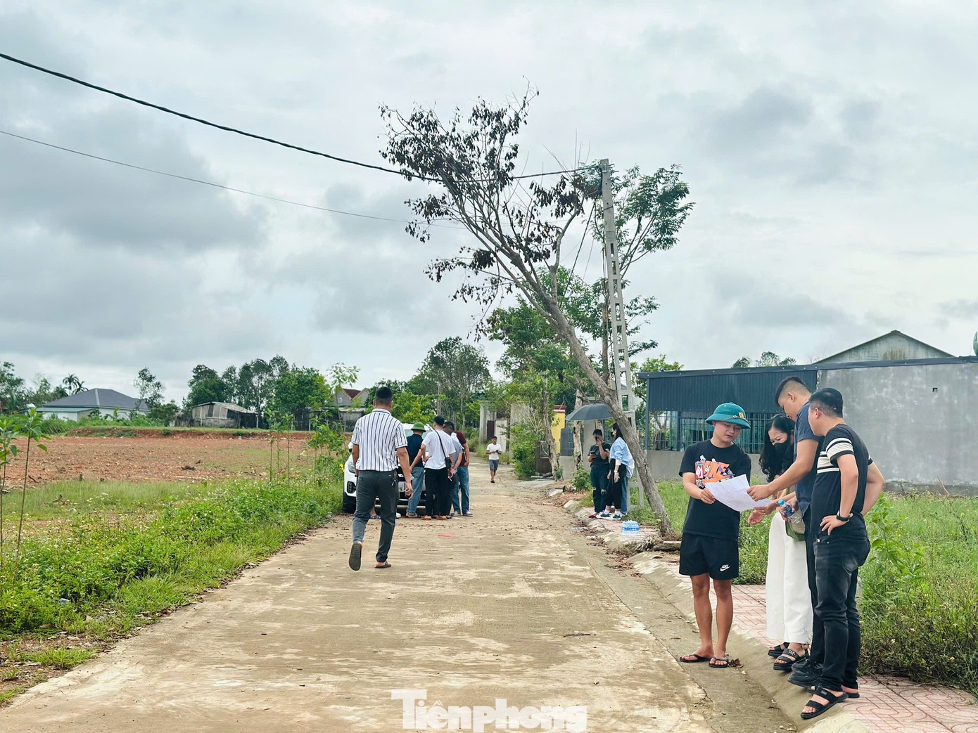 co dat,  rao ban,  thoi gia anh 1