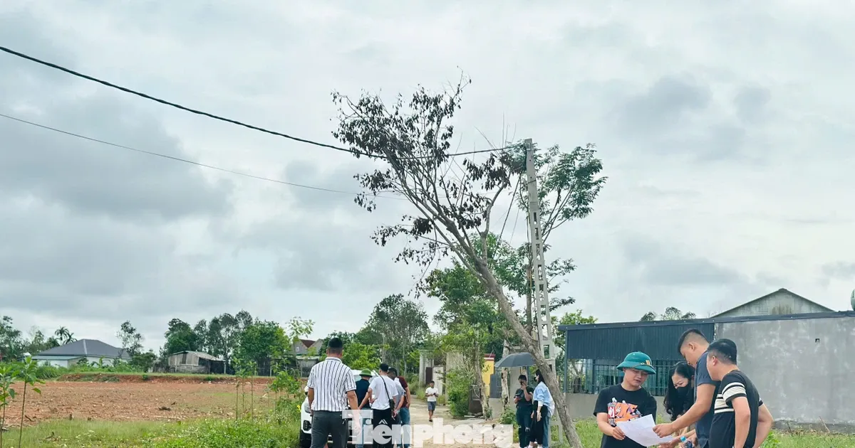 'Thoi gia', gom dat, phan lo ban nen tran lan sau cong bo quy hoach hinh anh