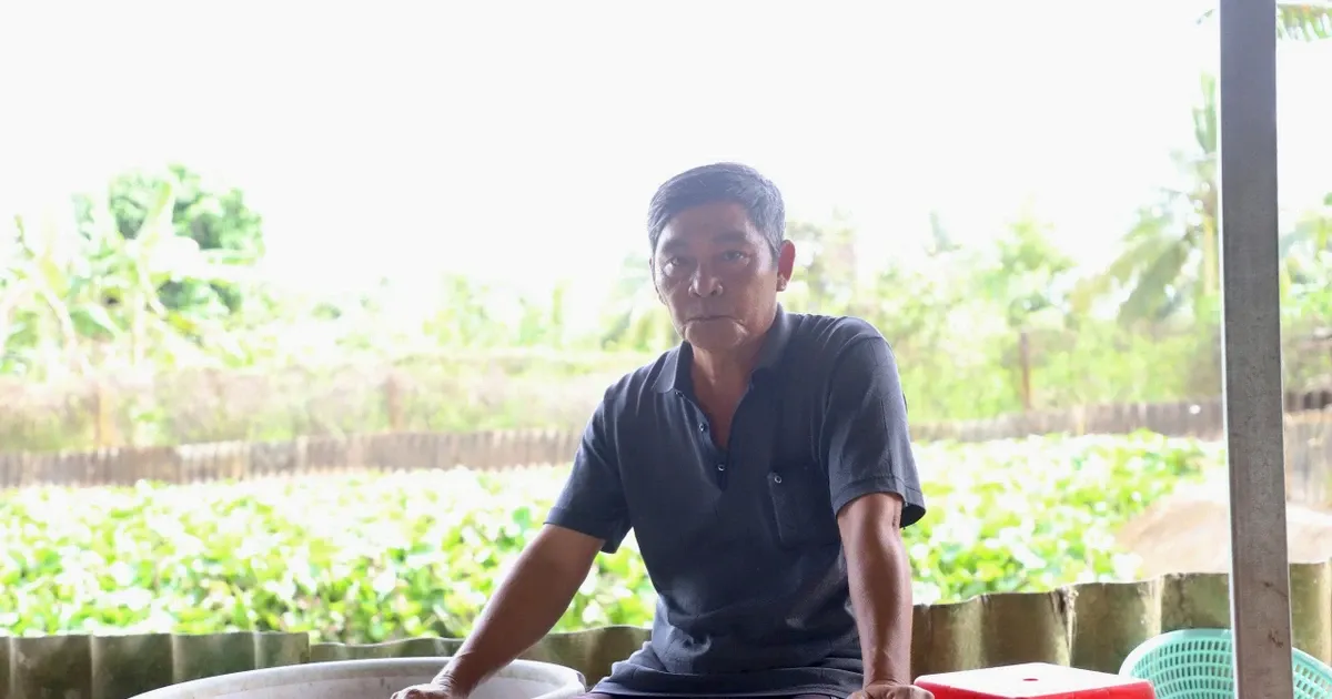 Vat nuoi dac biet giup lao nong thanh 'Nong dan Viet Nam xuat sac' hinh anh