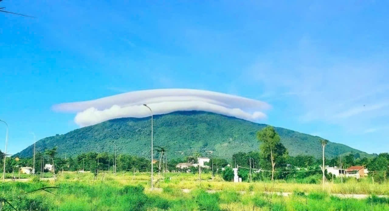 bat dong san,  dau gia,  du an anh 1