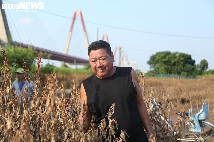 hu hai,  dao Tet,  ngap nuoc anh 4