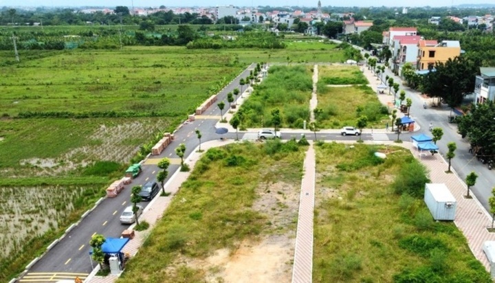 Thi truong dat dau gia ha nhiet sau con sot dien cuong hon 1 nam truoc hinh anh