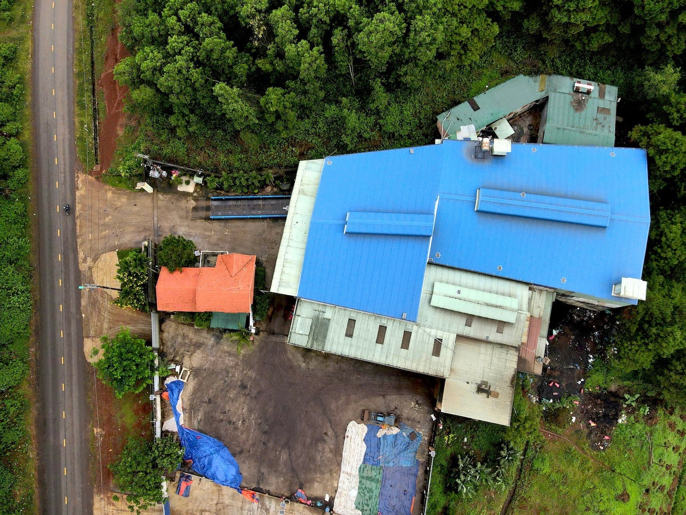 ca phe gia,  hang gia,  lam gia anh 2