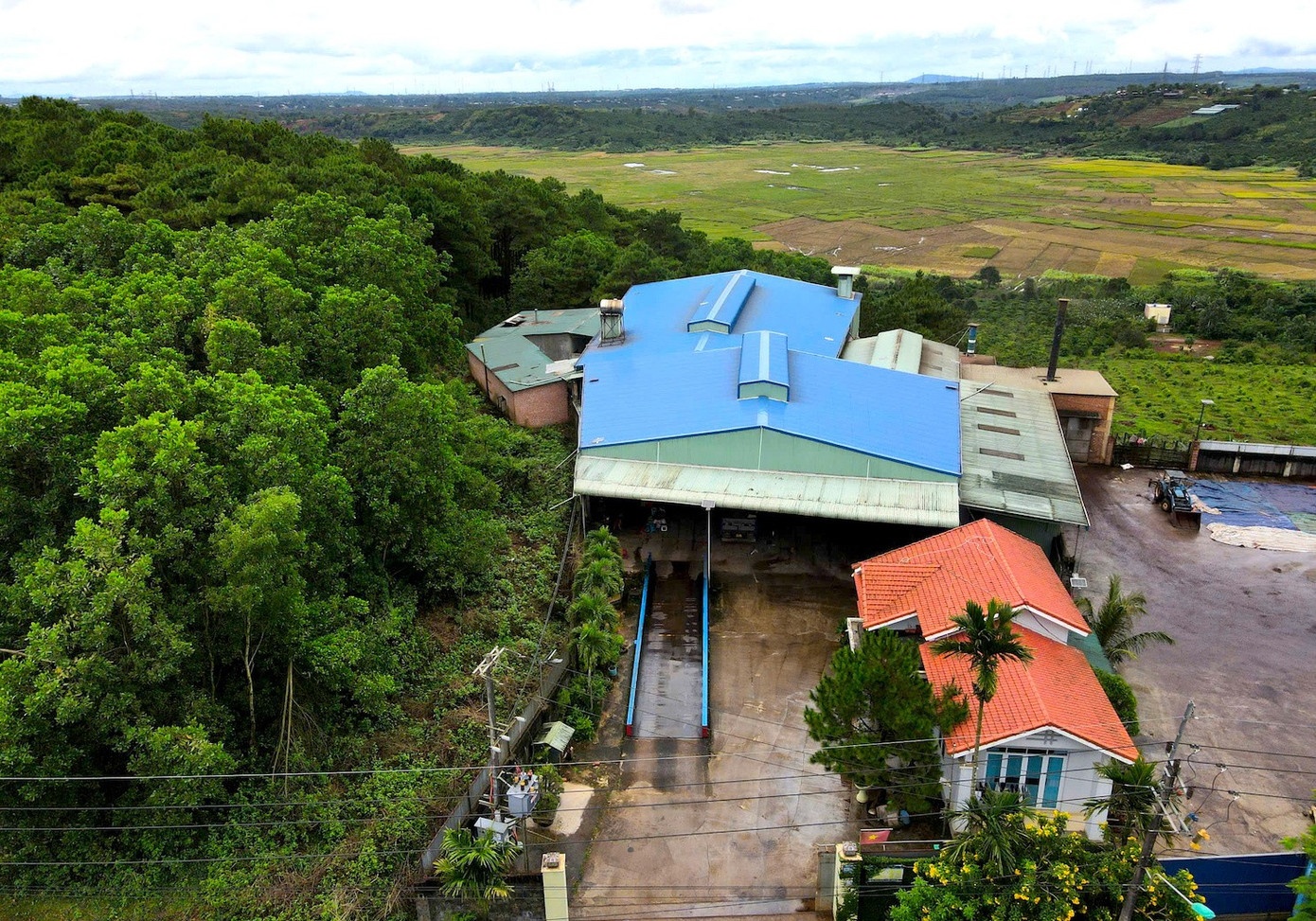 ca phe gia,  hang gia,  lam gia anh 3