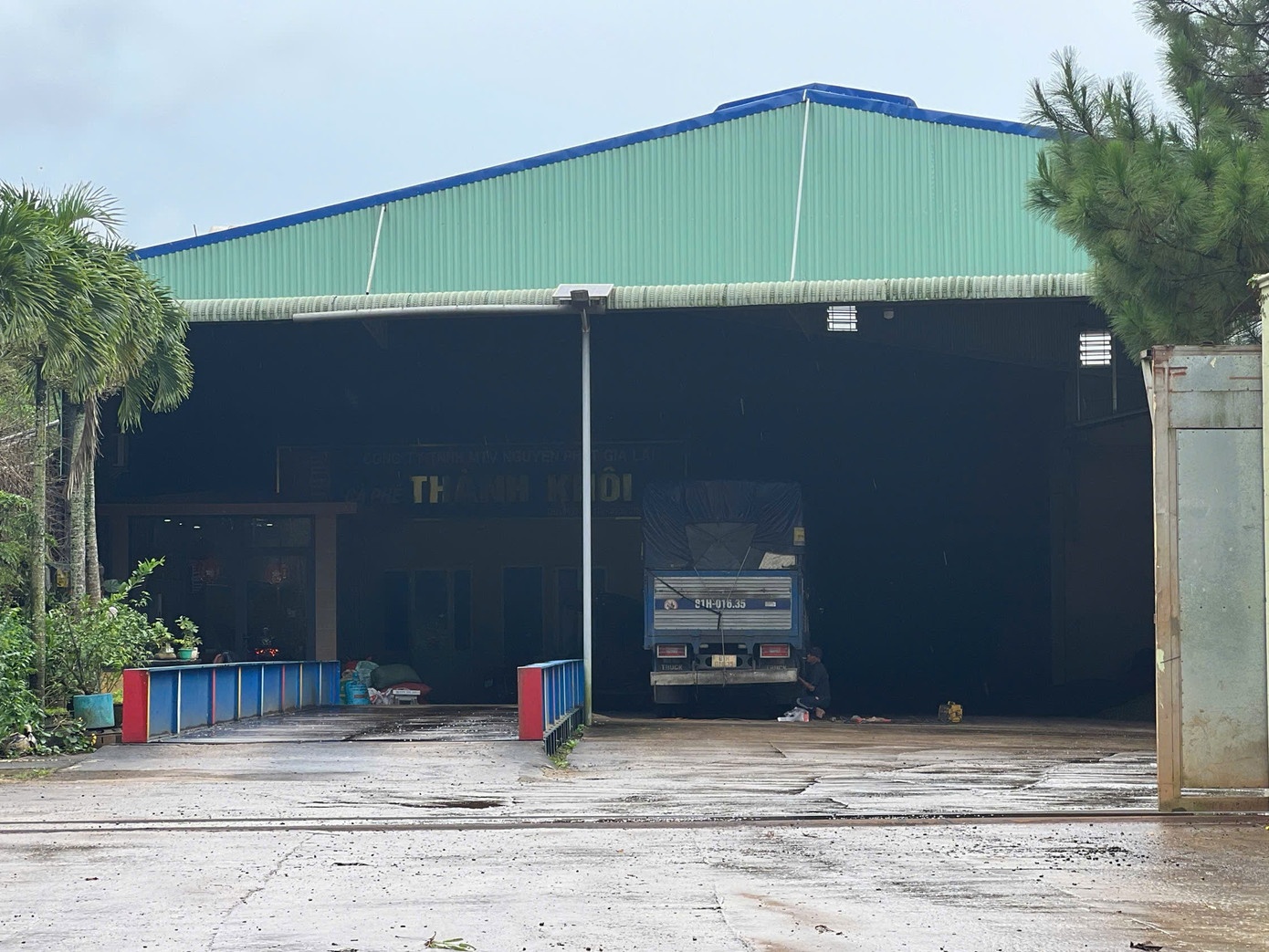 ca phe gia,  hang gia,  lam gia anh 5