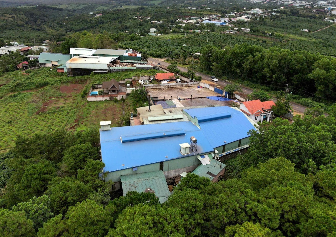 ca phe gia,  hang gia,  lam gia anh 6