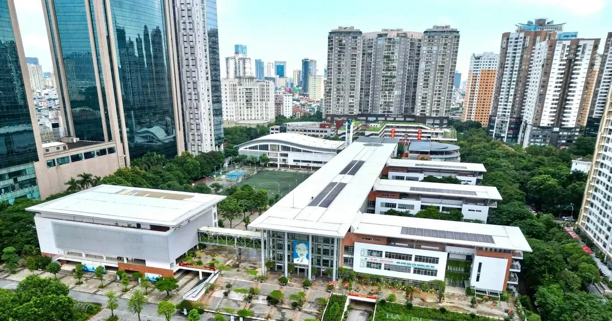 Truong chuyen Amsterdam vua cai tao da tham dot, chu dau tu noi gi? hinh anh