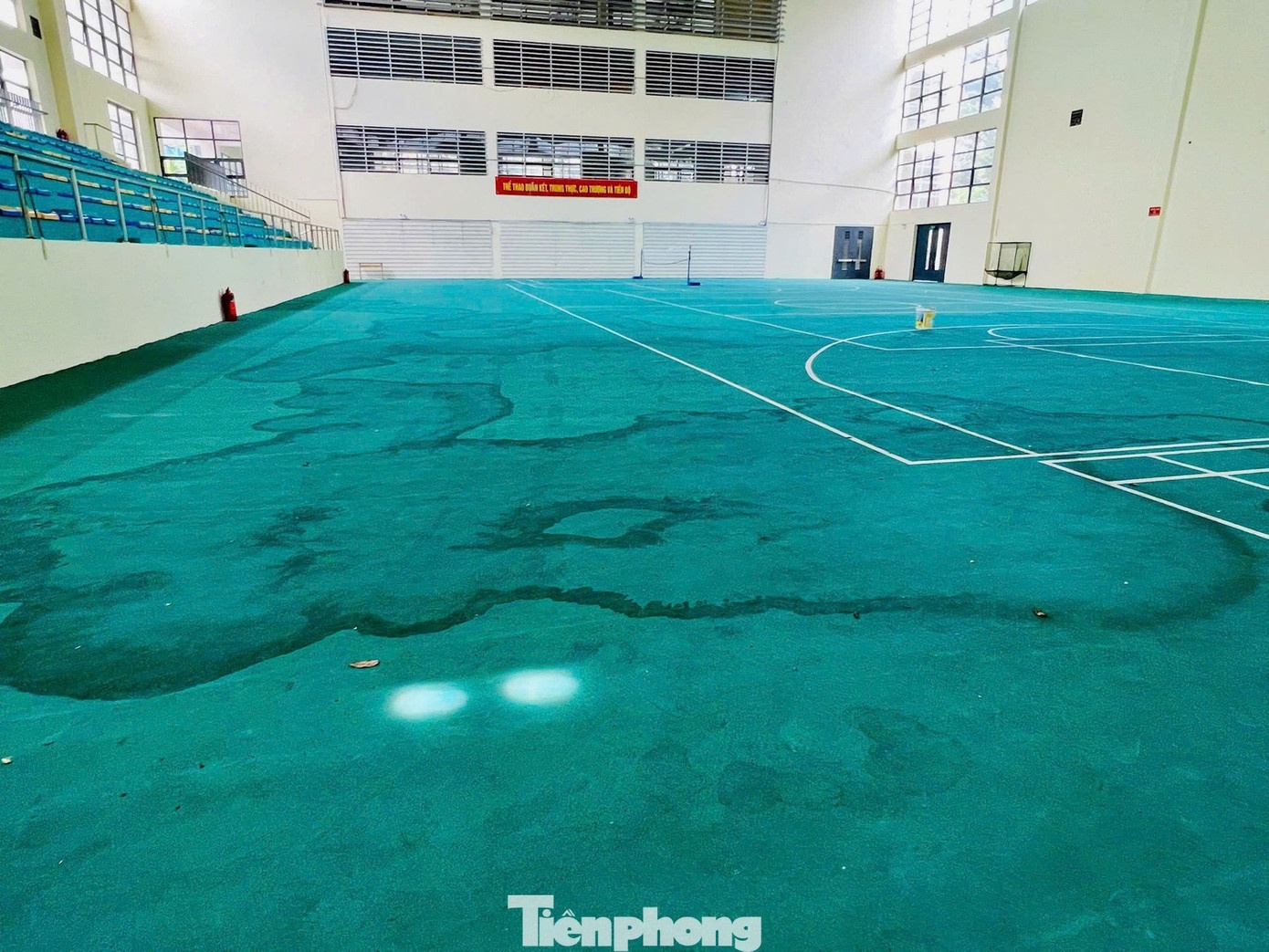 du an,  phan hoi,  dau tu anh 2