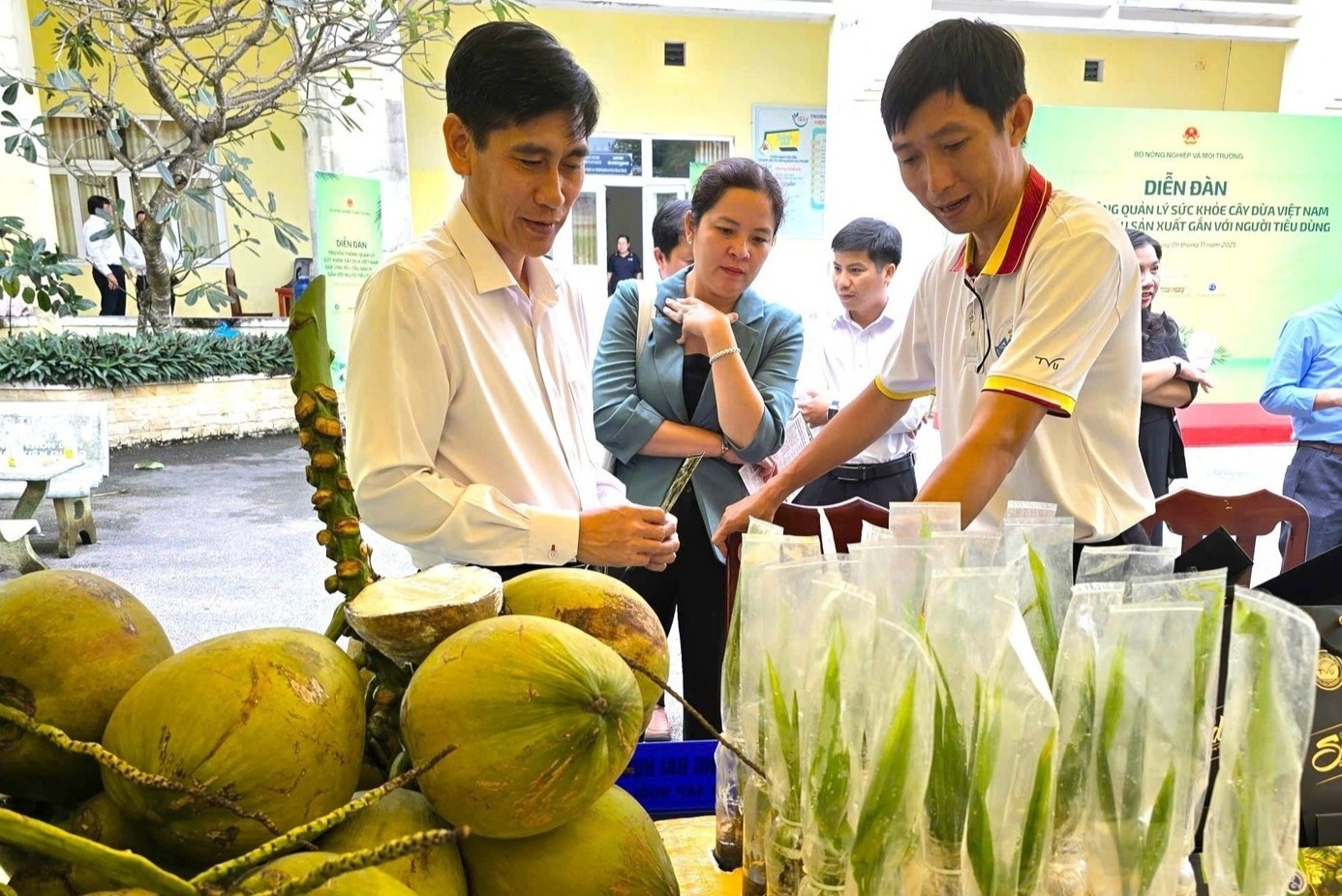 Tu loai cay it gia tri nay tro thanh 'ngoi sao' xuat khau cua Viet Nam hinh anh