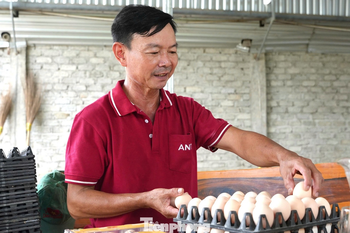 nuoi trong,  khoi nghiep,  no nan anh 1