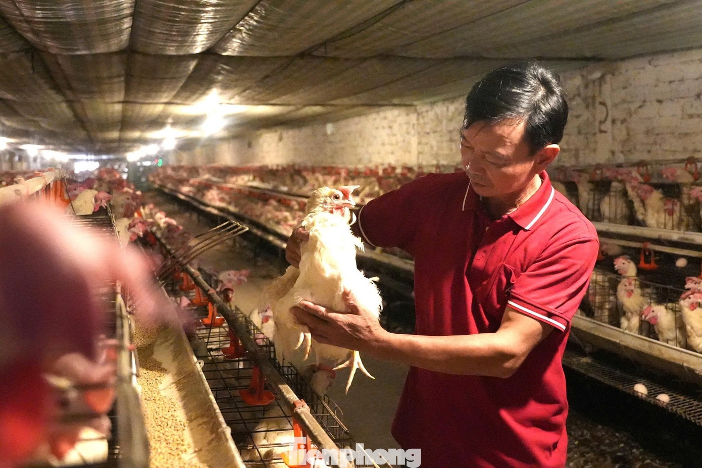 nuoi trong,  khoi nghiep,  no nan anh 3