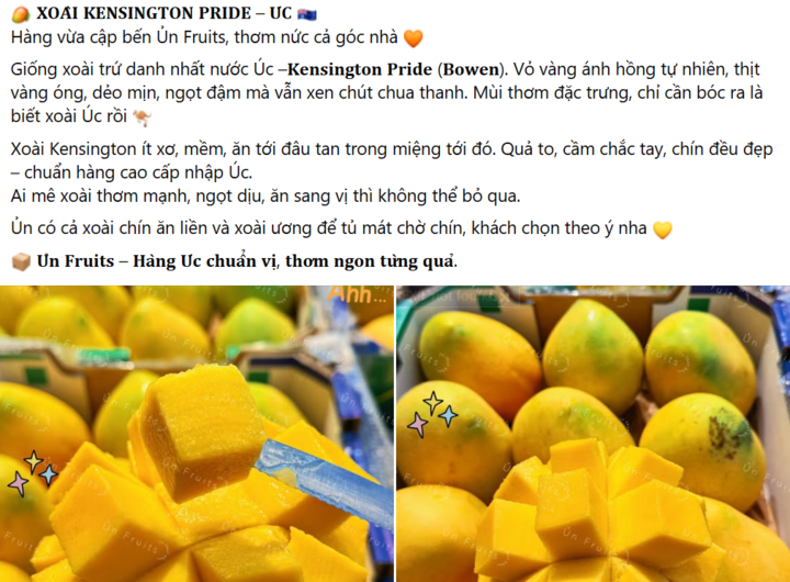 nhap khau, dat do,  nhap khau anh 1