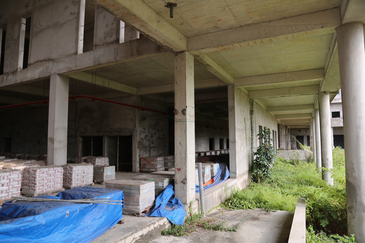 Can Tho,  chuyen khoa,  y te anh 2