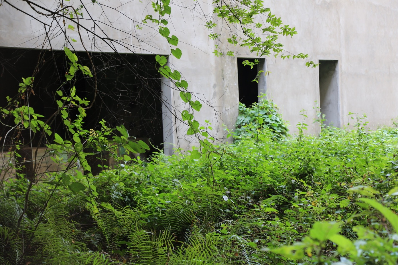 Can Tho,  chuyen khoa,  y te anh 3