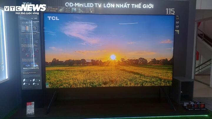 tivi,  dat do,  gia cao anh 5