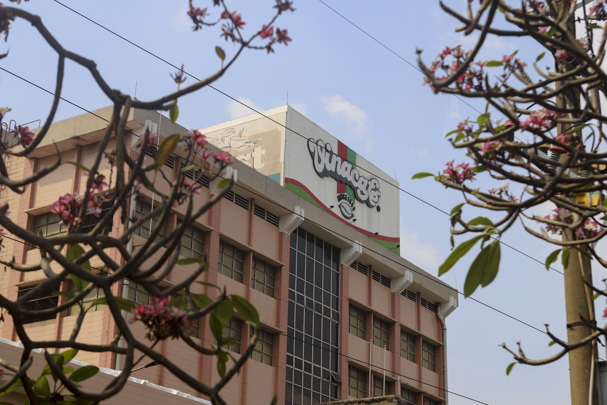 Vo ong chu Masan roi ghe HDQT Vinacafe Bien Hoa sau 12 nam hinh anh