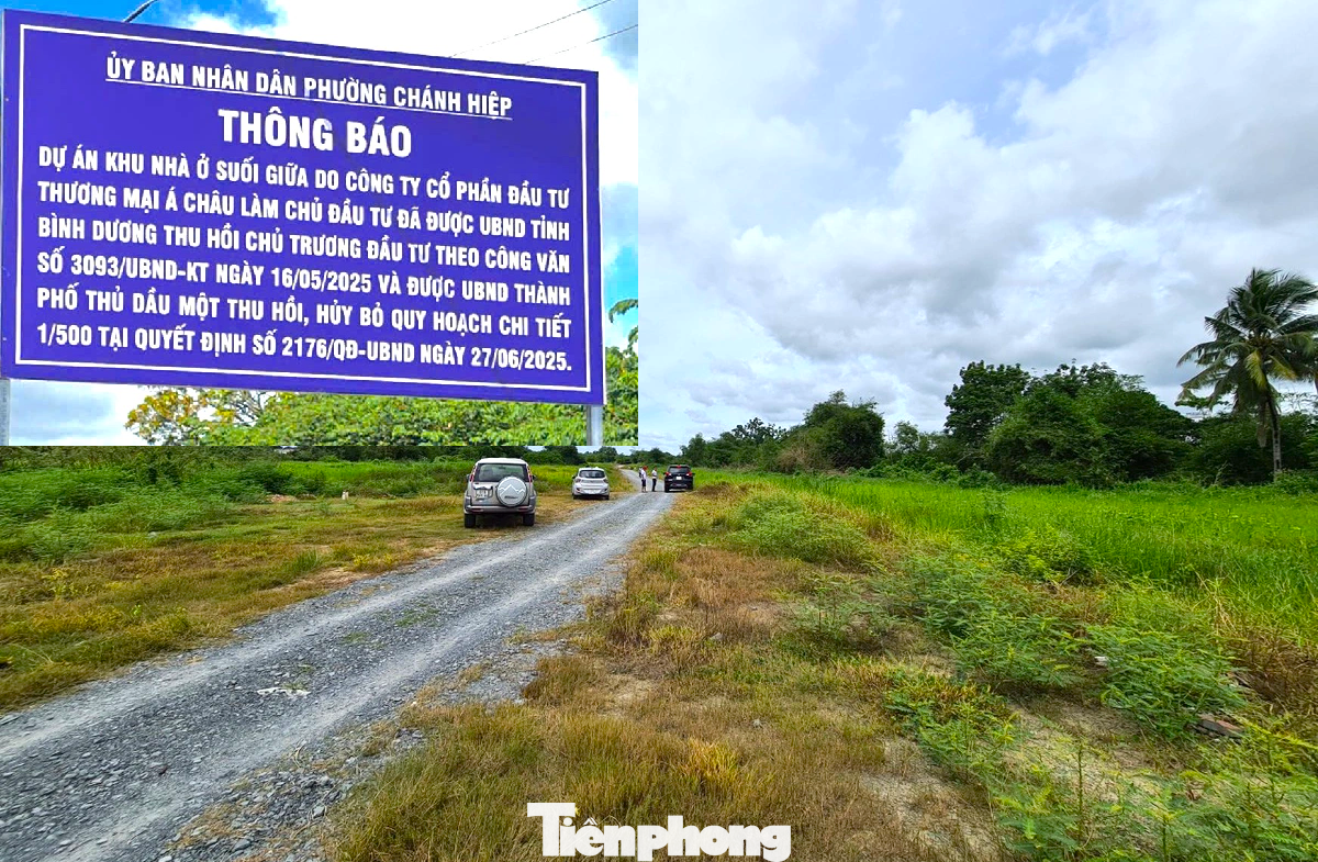 xay dung,  nha o,  lao dong anh 4