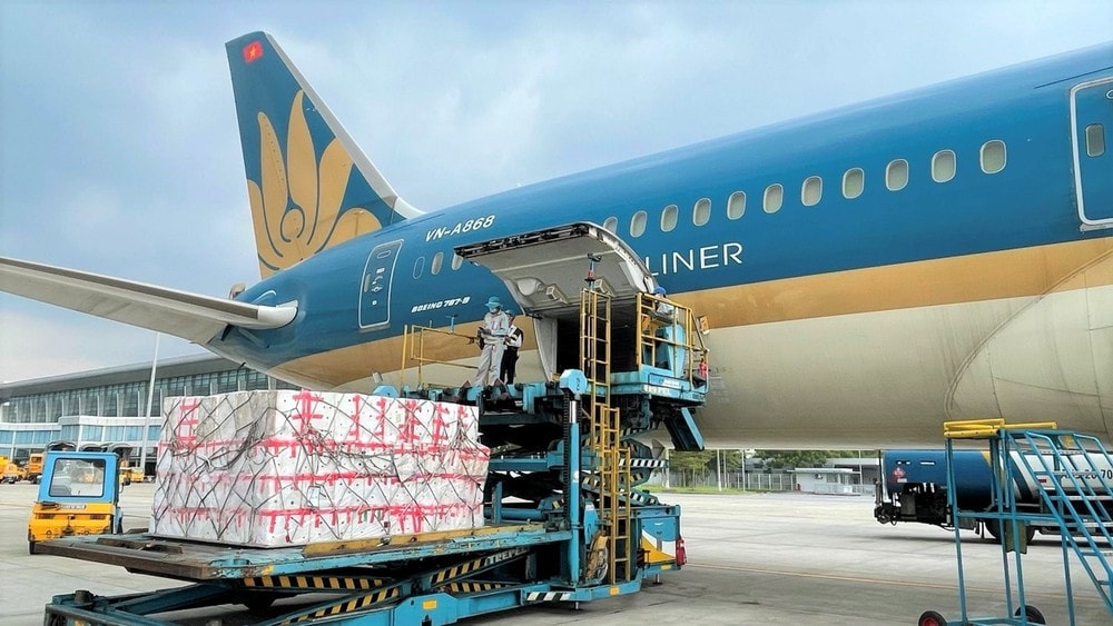 Vietnam Airlines sap co doi bay chuyen cho hang hoa hinh anh