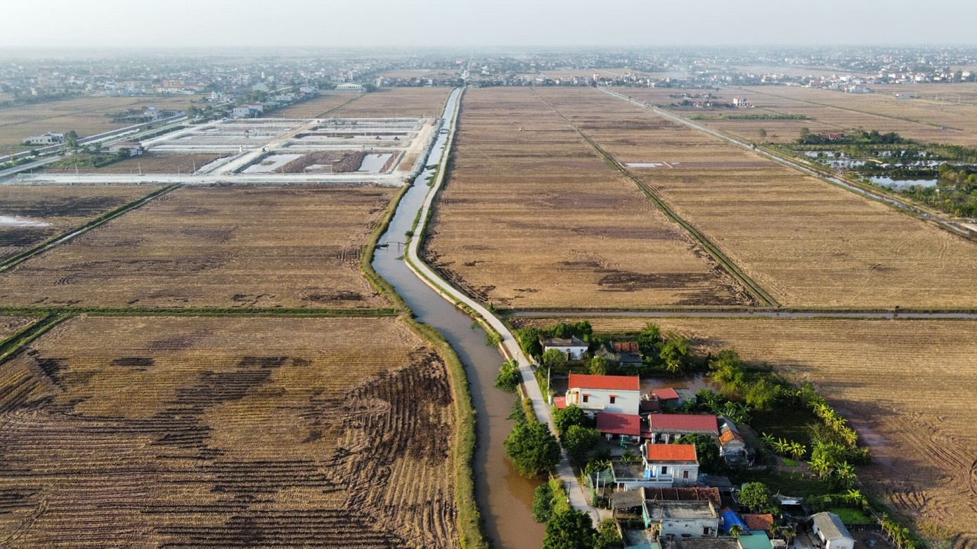 Dau gia dat vung que: Chua len san 'co dat' do ve gay nao loan hinh anh