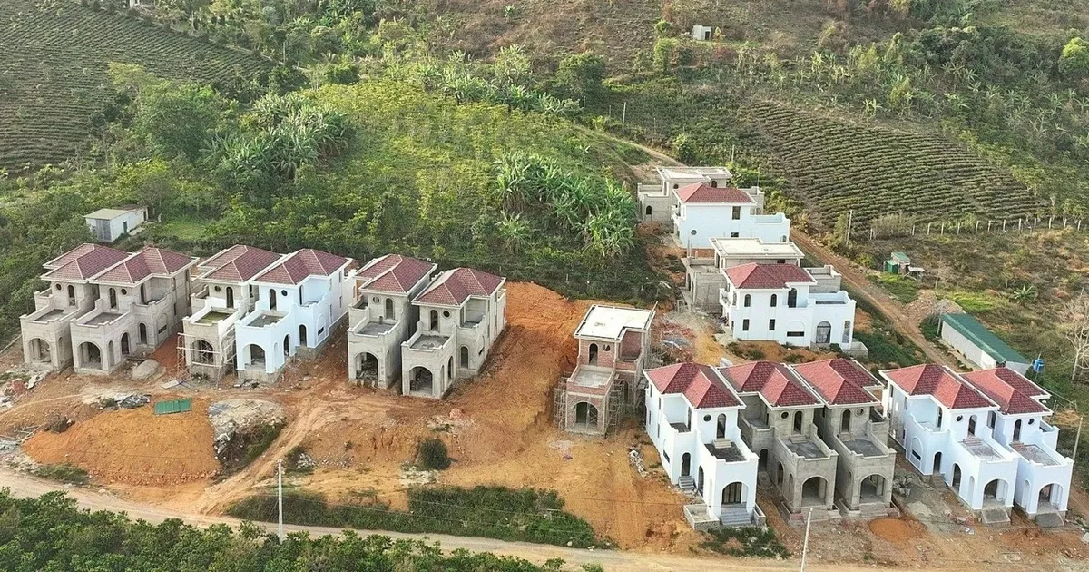 Dat vi pham truoc 1/7/2014 co the duoc xem xet cap so do hinh anh