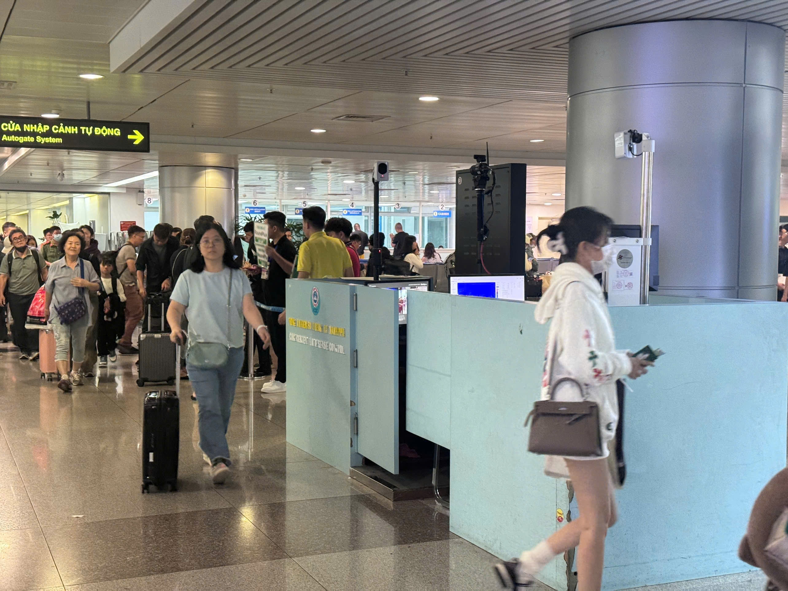 San bay Tan Son Nhat len tieng truoc nguy co dich Nipah hinh anh