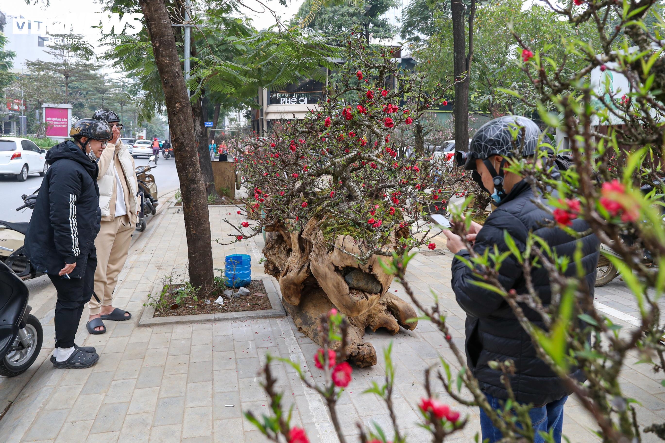 Dao that thon anh 12