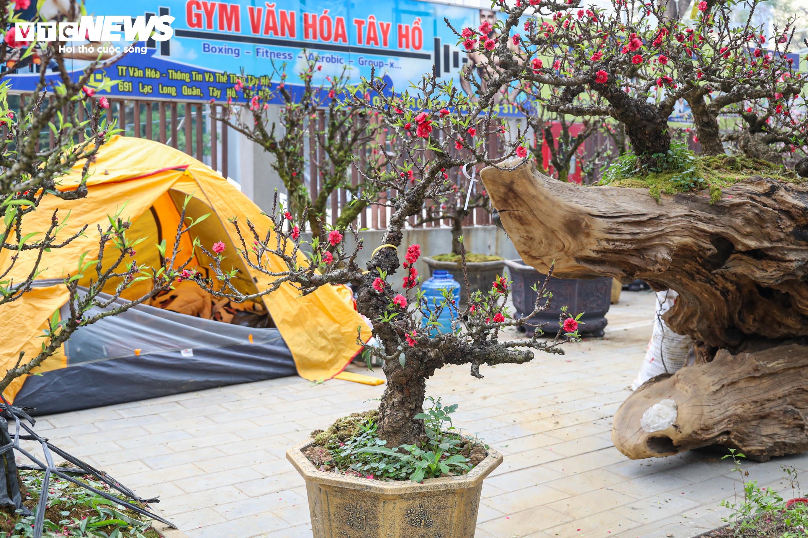 Dao that thon anh 14