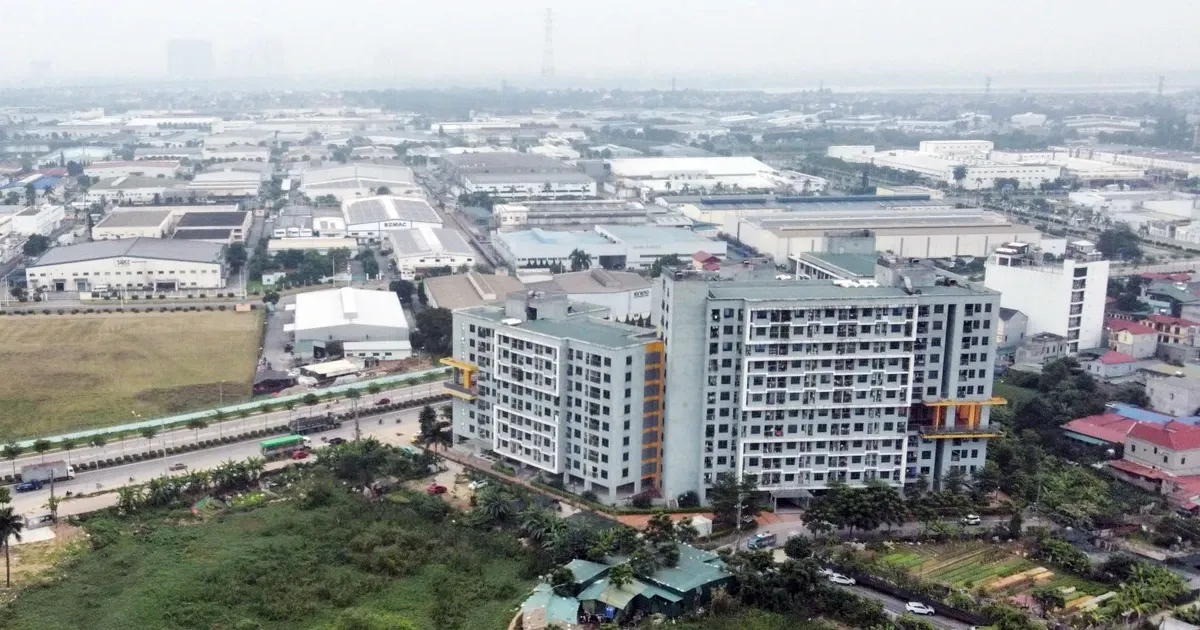 Nguoi dang thue nha duoc uu tien mua nha o xa hoi hinh anh