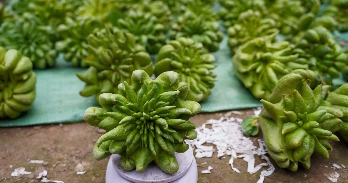 Phat thu Tet gia dat do van 'chay' hang hinh anh