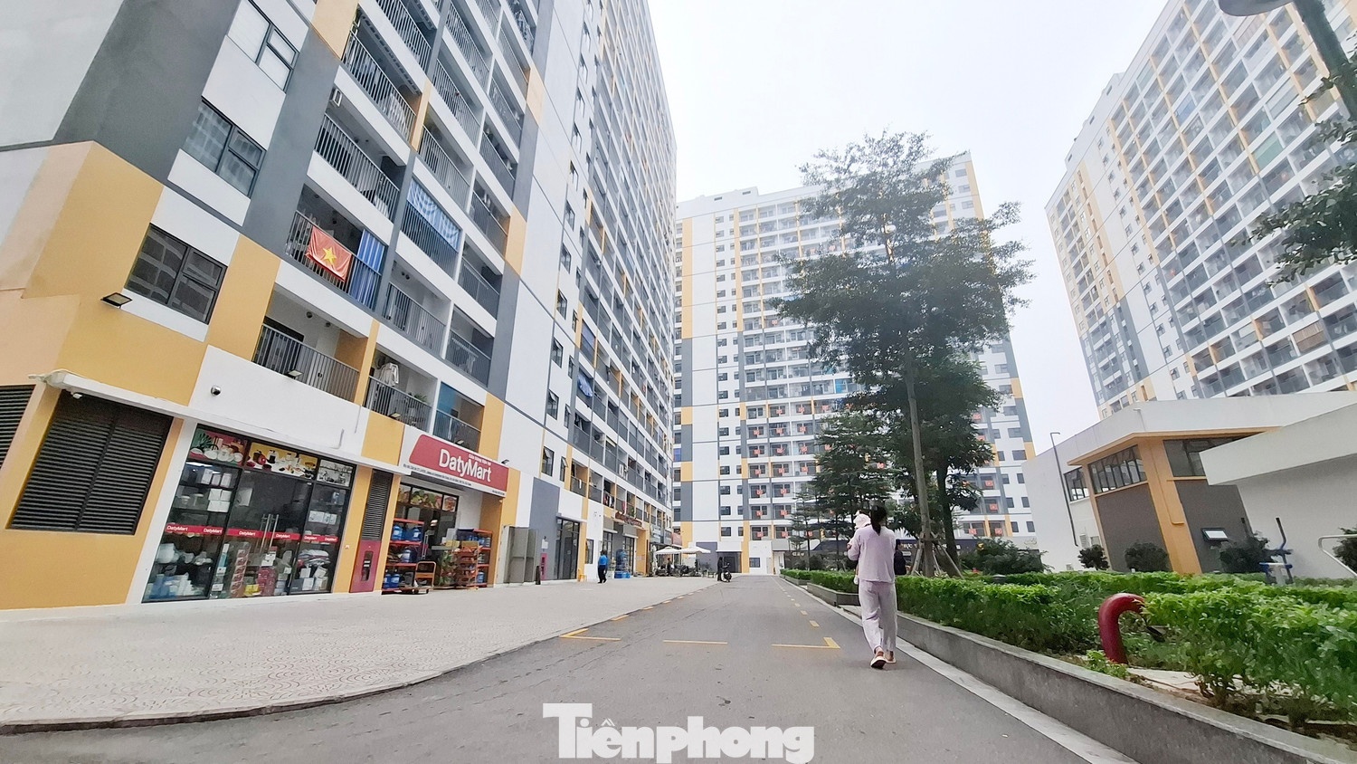 Cong an canh bao ‘suat noi bo’ nha o xa hoi: Tien mat, nha khong thay hinh anh