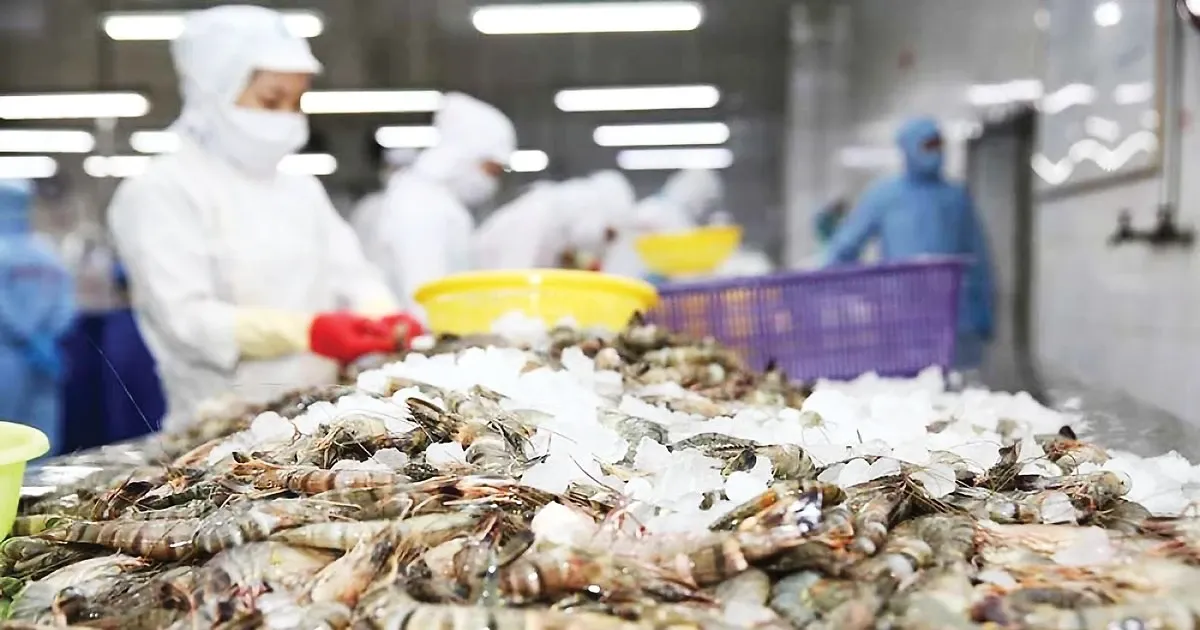 My giam manh thue chong ban pha gia voi tom Viet hinh anh