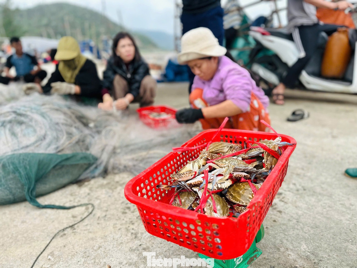 ngư dân ảnh 6 ngu dan anh 6