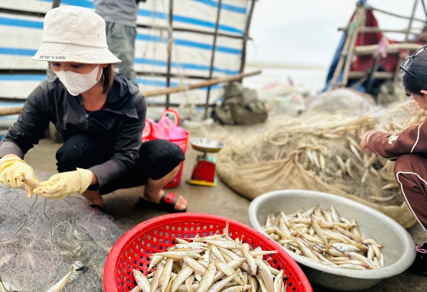 Ngu dan trung 'loc bien' dau nam, thu tien trieu moi ngay hinh anh