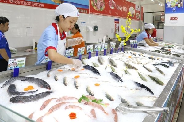 Vay 5.800 luong vang khi gia 17 trieu, doanh nghiep ganh no nghin ty hinh anh