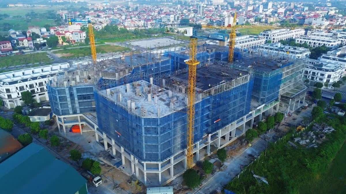 Moi dau tu du an nha o xa hoi 'nghin ty' gan Nga Tu So hinh anh