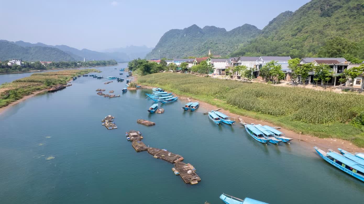 ca long anh 6