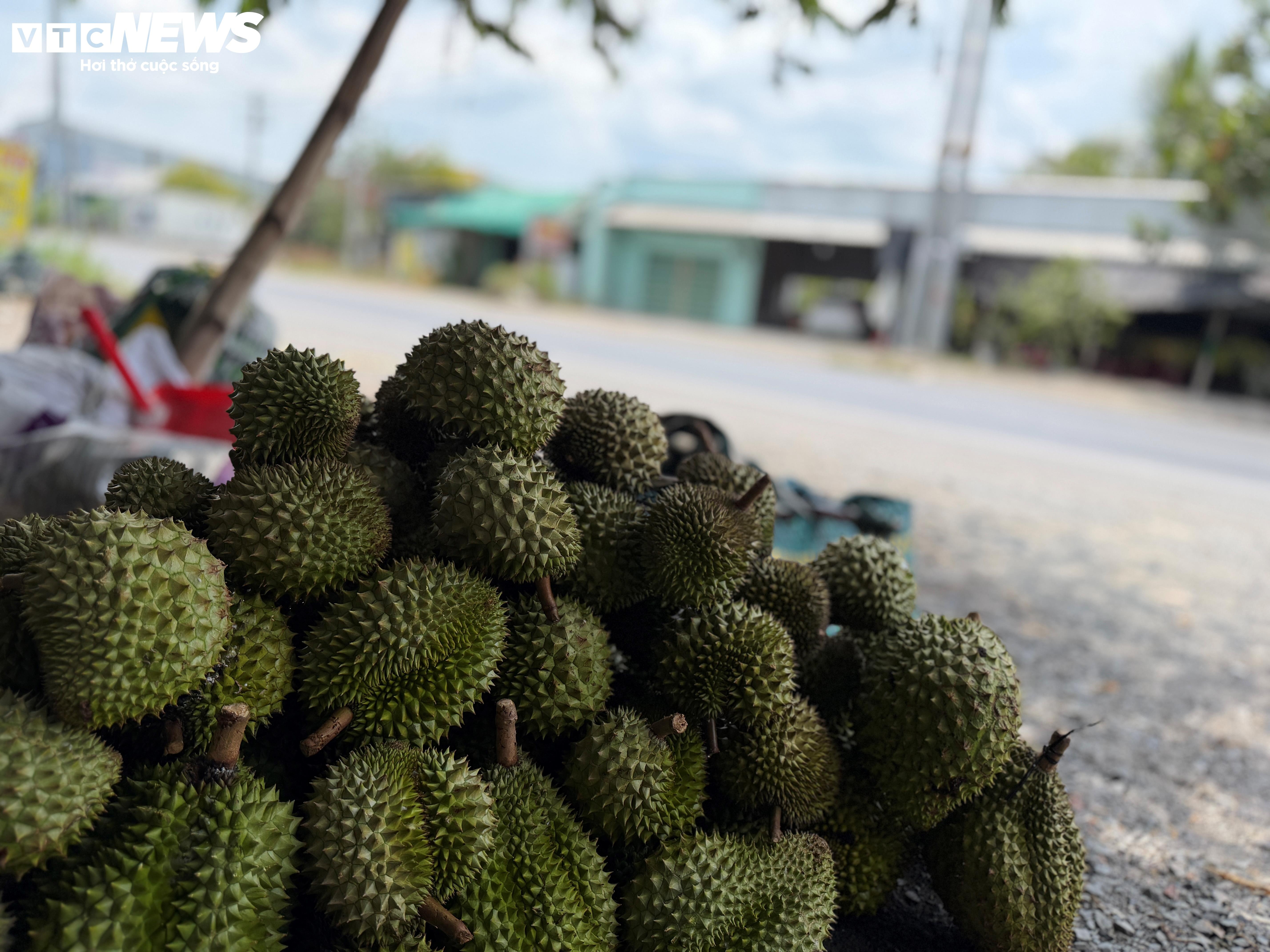 sau rieng anh 4