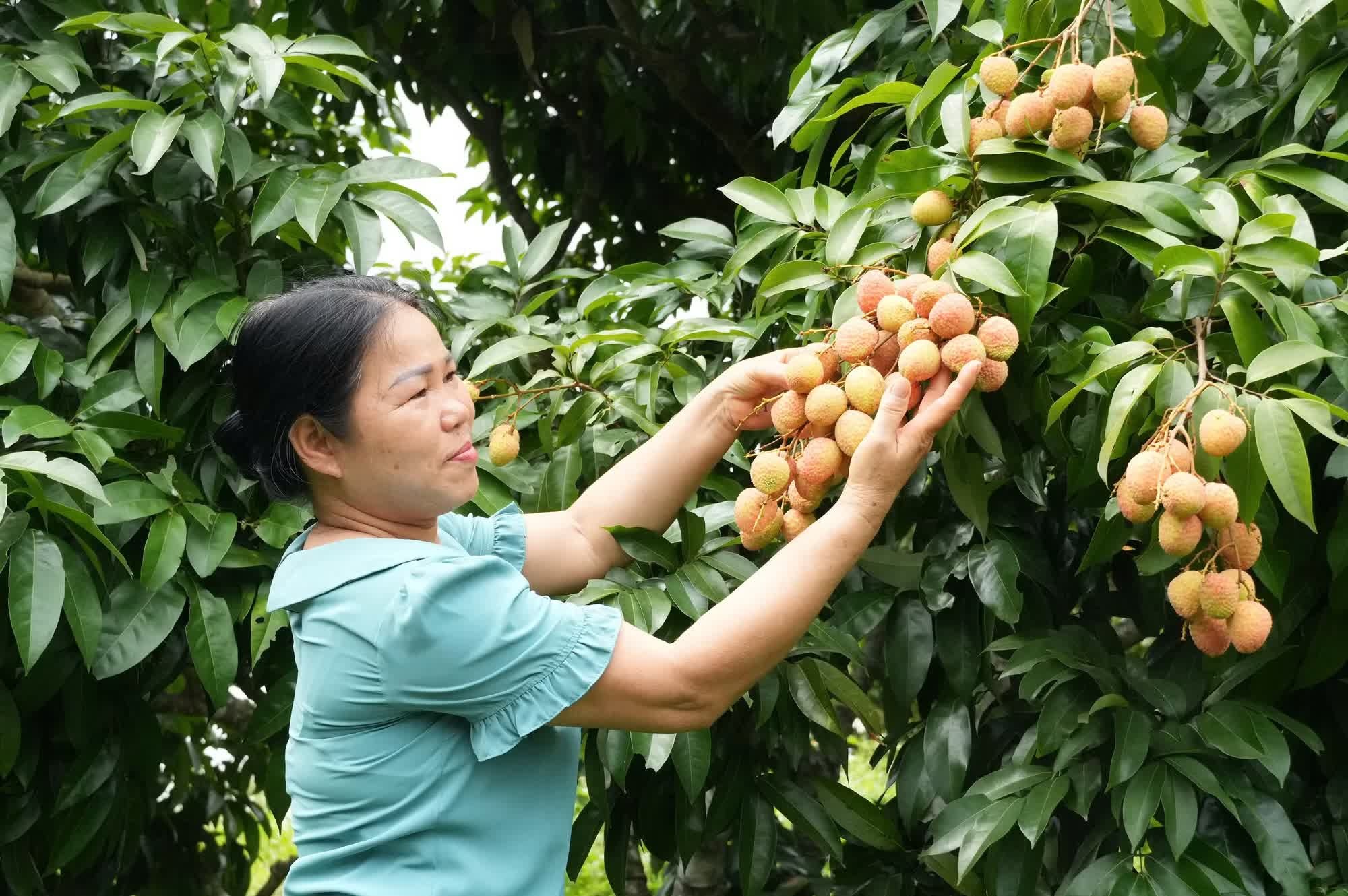 vai thieu anh 3