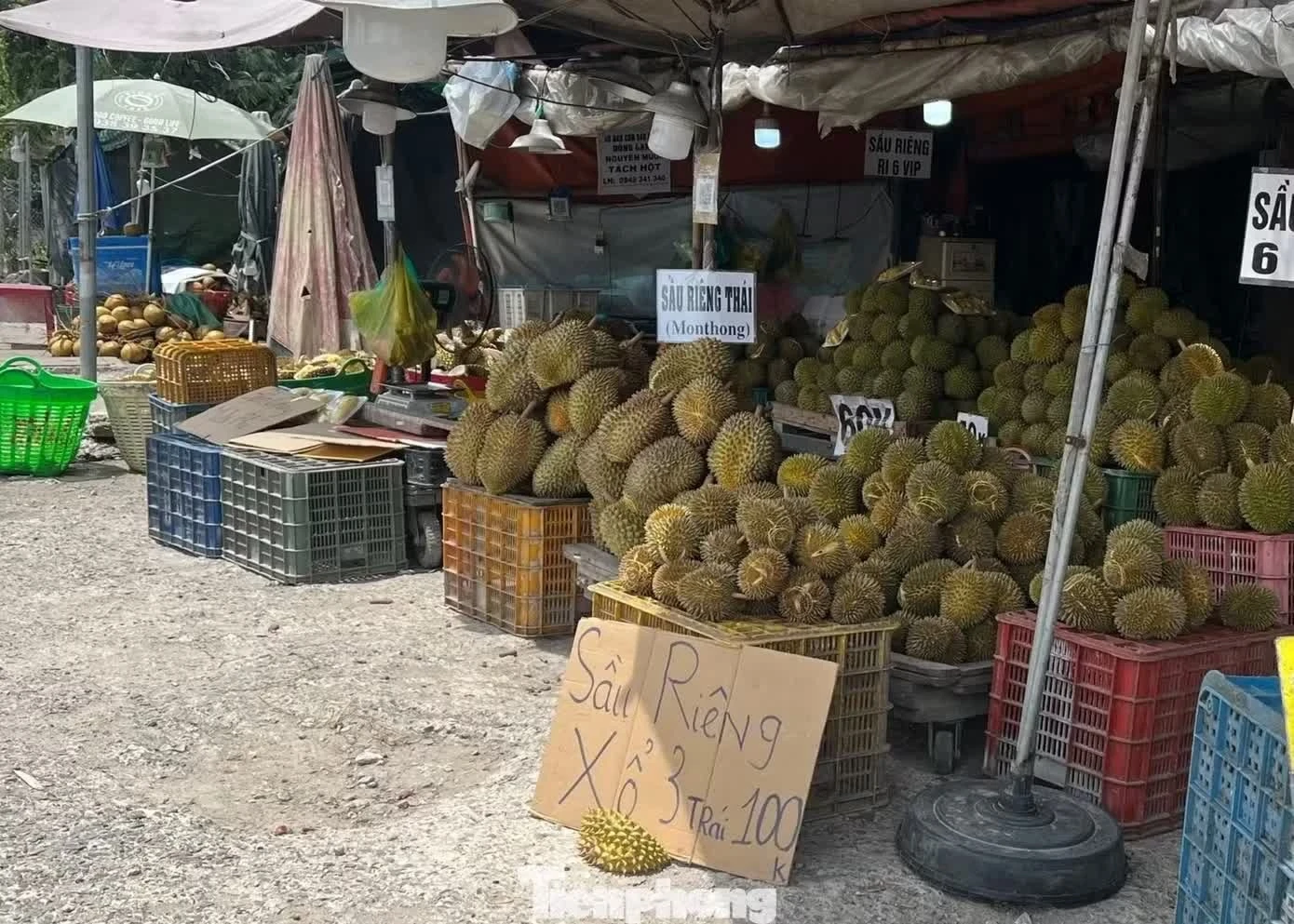 sầu ri&ecirc;ng  ảnh 1