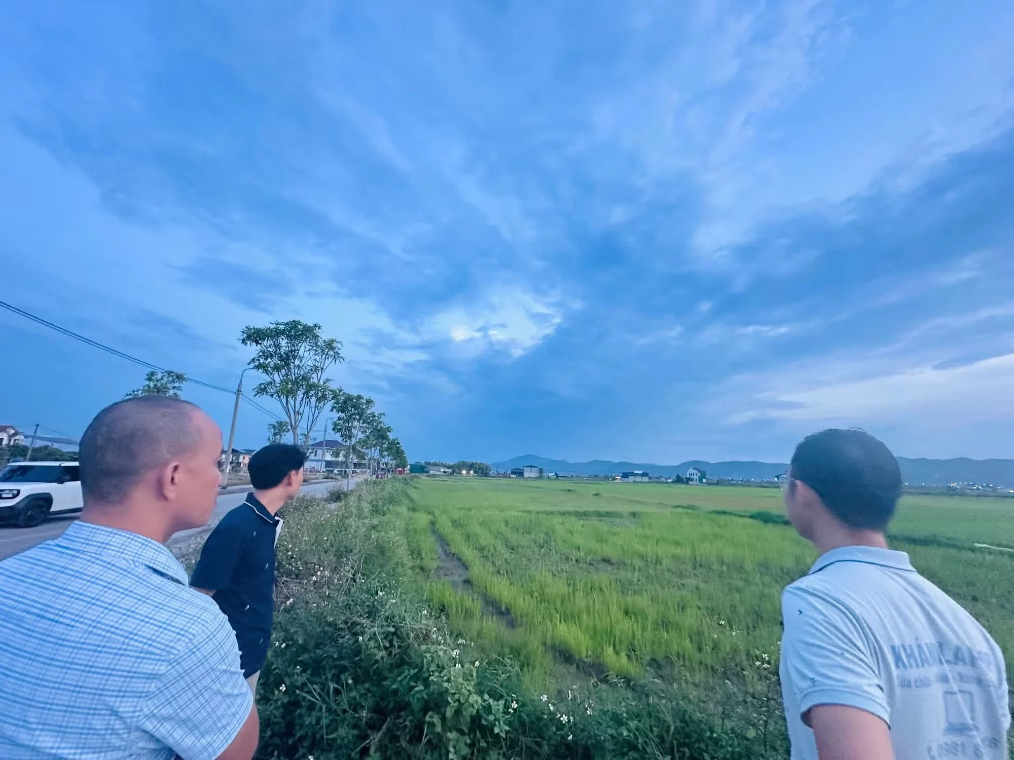 Tạm dừng đấu giá lô đất nông thôn giá khởi điểm hơn 5 tỷ đồng