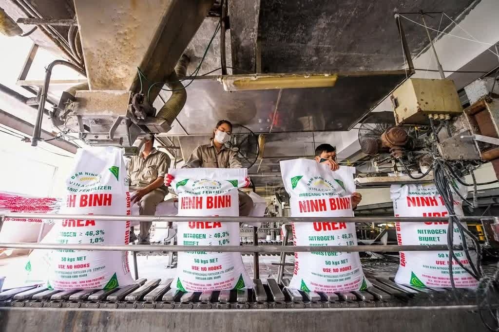 EVN  ảnh 1