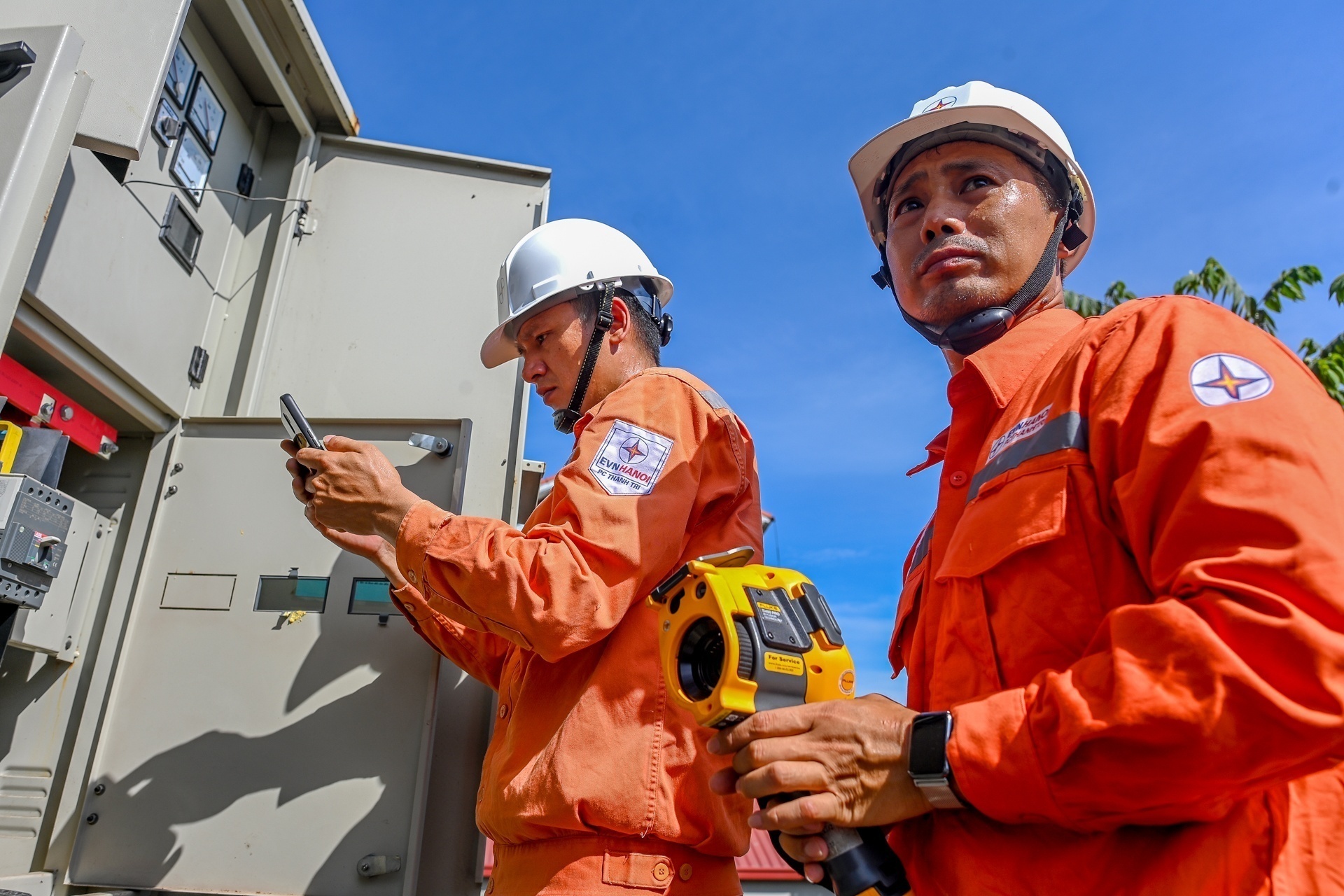 Doanh thu EVN lớn hơn Vingroup và Hòa Phát cộng lại