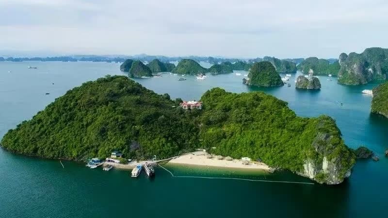 Quảng Ninh lại tính đấu thầu khai thác vịnh Hạ Long