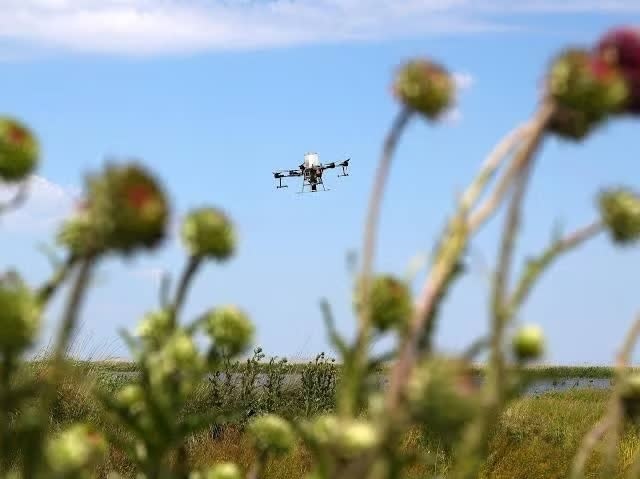 UAV  ảnh 3