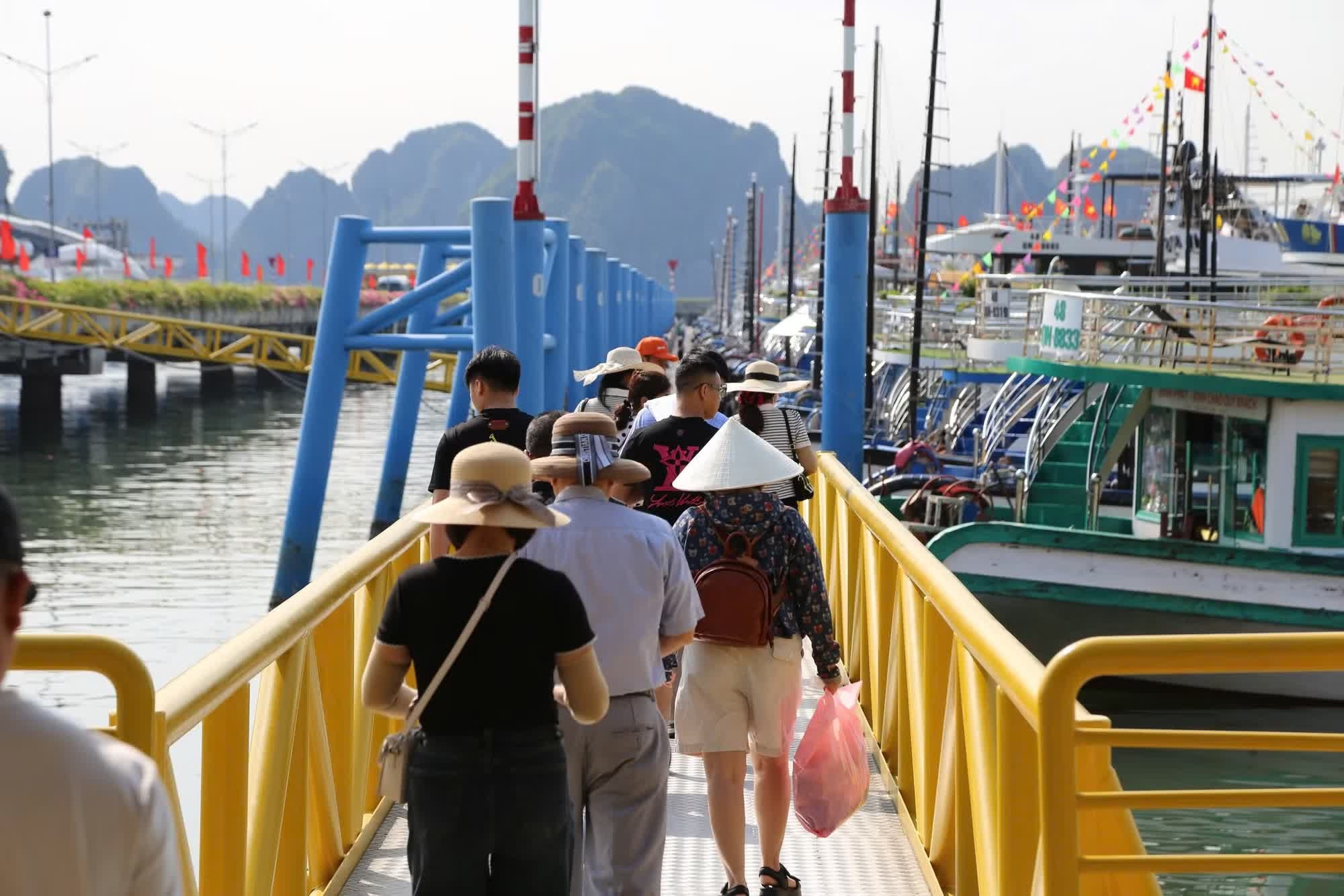 Hạ Long  ảnh 2