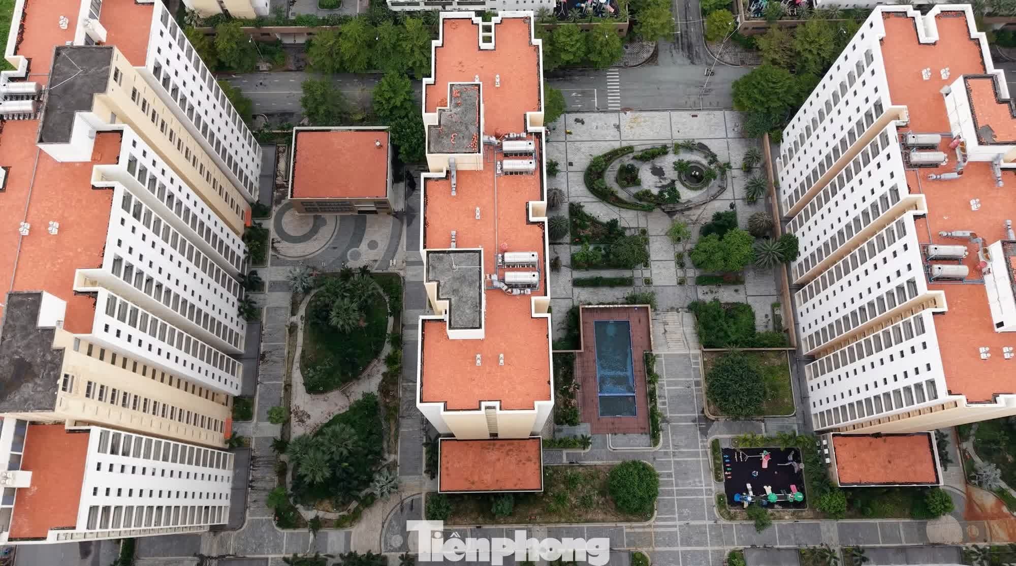 t&aacute;i định cư  ảnh 14