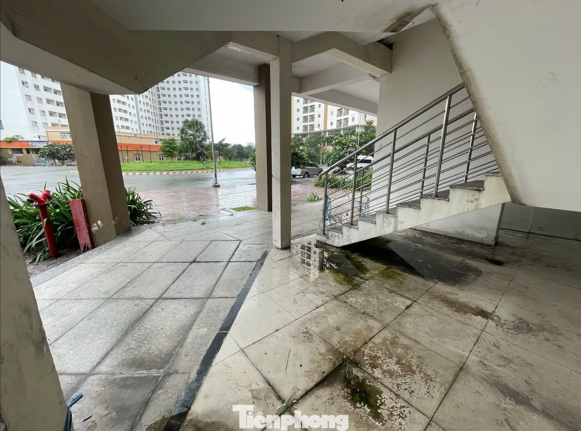 t&aacute;i định cư  ảnh 16