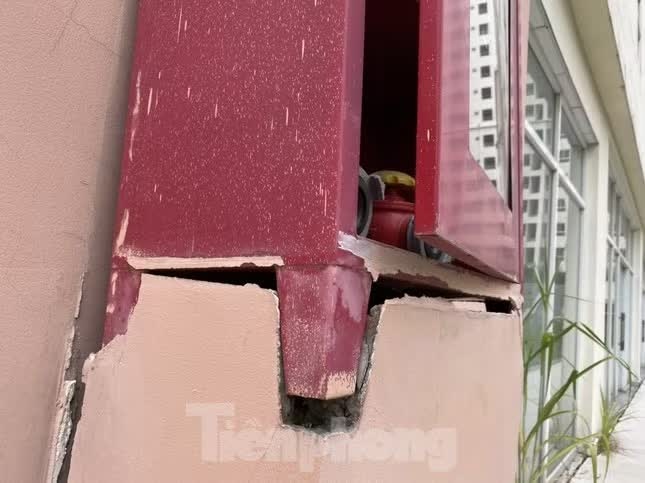 t&aacute;i định cư  ảnh 18